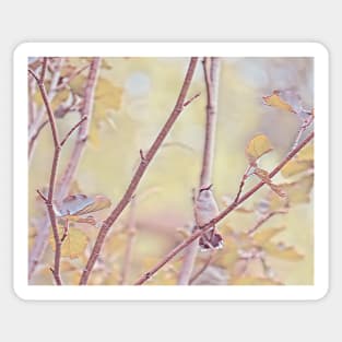 Hummingbird Peaceful No.1 Sticker